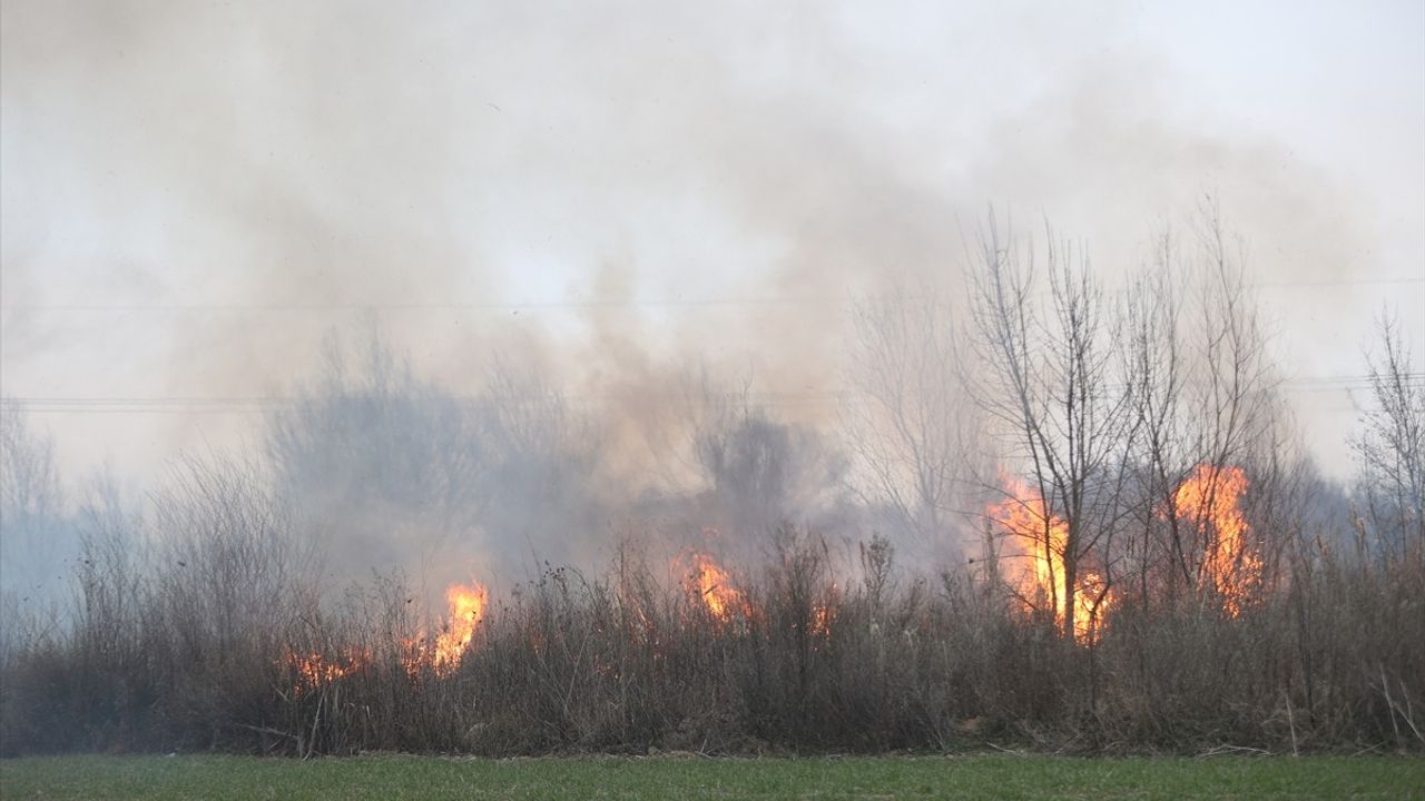 Kırklareli'nde Otluk Alanda Başlayan Yangın Kontrol Altına Alındı