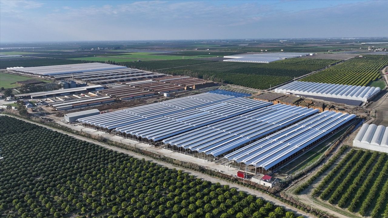 Kırmızı Et Üretiminde Yerli Üretim Artışı Hedefleniyor