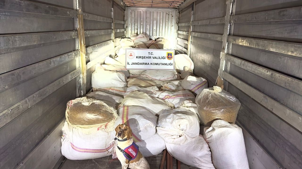 Kırşehir'de 3 Ton Kıyılmış Tütün Ele Geçirildi