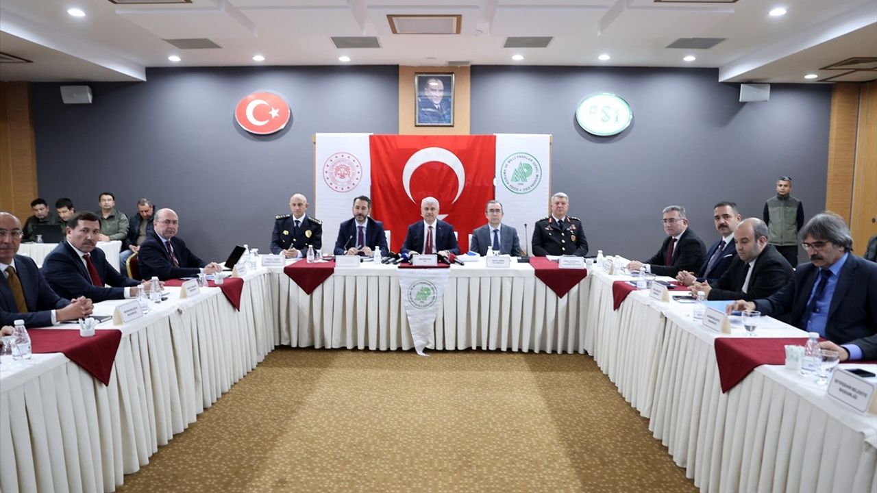 Konya'da Sokak Hayvanlarına Cezalar Artıyor: 2025 için 71 Bin Lira Ceza