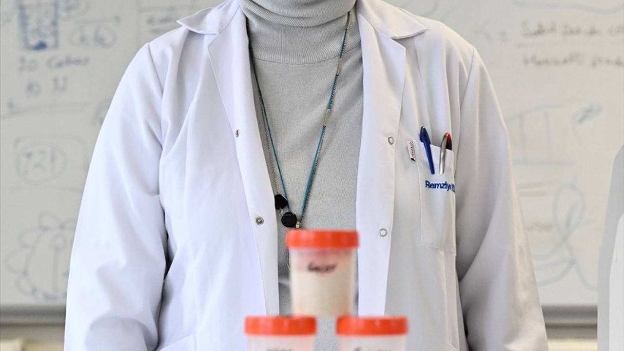 Koruma Altındaki Yerel Buğdaylar Ticari Çeşitlerle Rekabet Edebileceğini Gösterdi