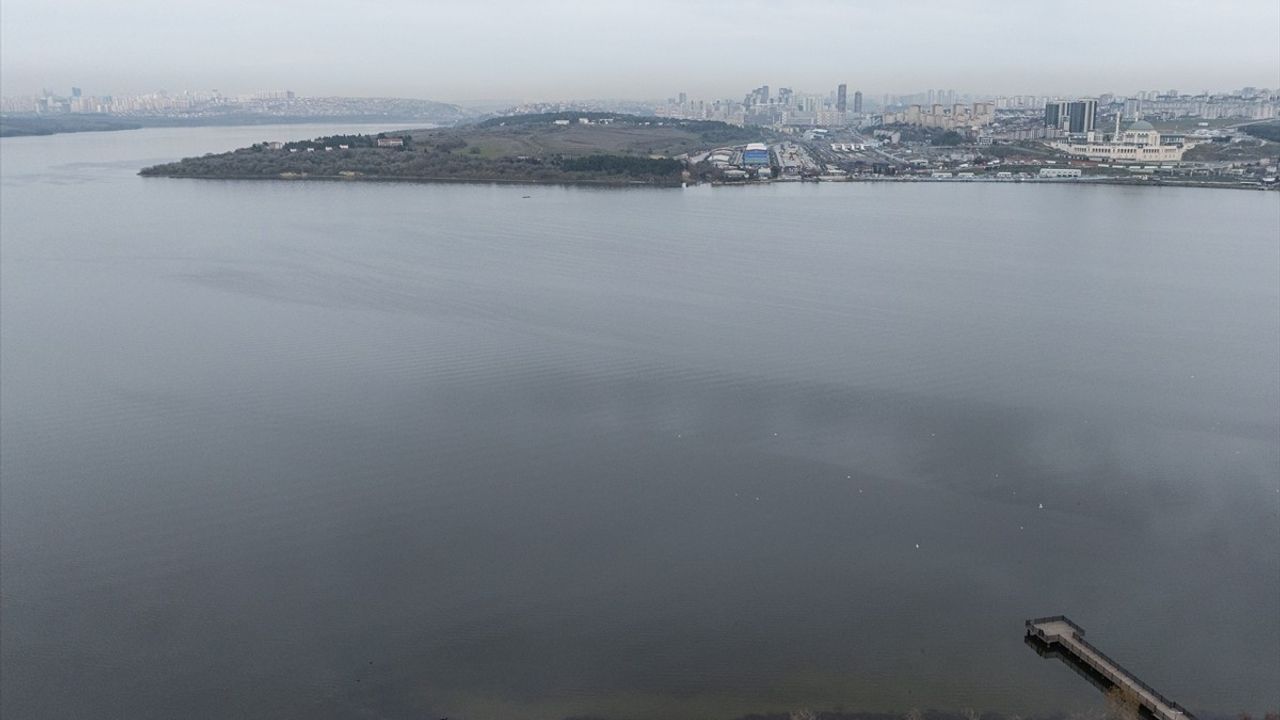Küçükçekmece Gölü'nde Oksijensizlik Sorunu: Uzmanlar Uyarıyor