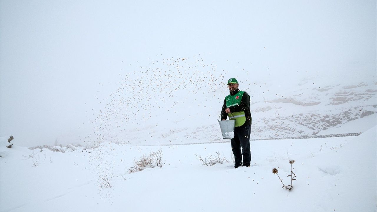 Malatya'da Yaban Hayvanları İçin Kış Yardımı