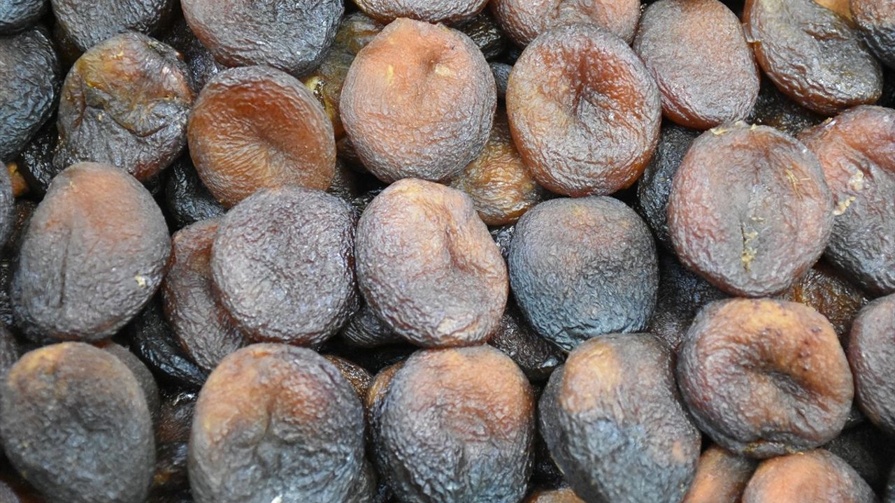 Malatya Kuru Kayısı İhracatı: İlk 6 Ayda 240 Milyon Dolar Gelir