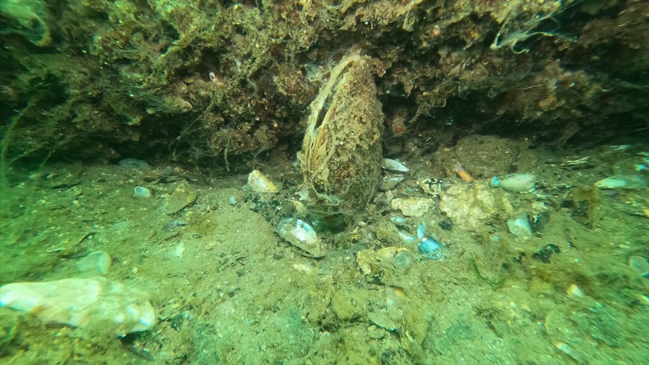 Marmara Denizi'nde Dalgıçlar Müsilajı Görüntüledi
