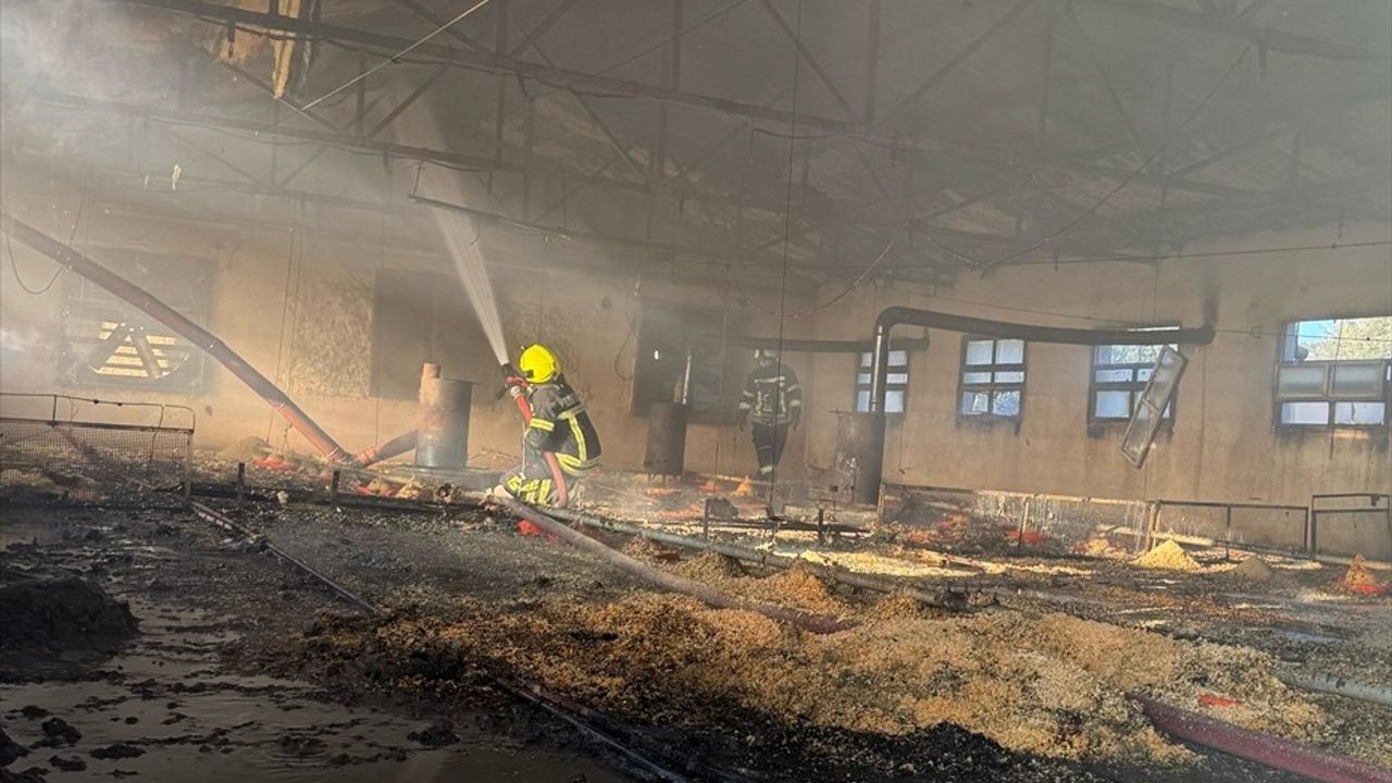 Mersin Tarsus'taki Tavuk Çiftliğinde Yangın: 6 Bin 800 Civciv Telef Oldu