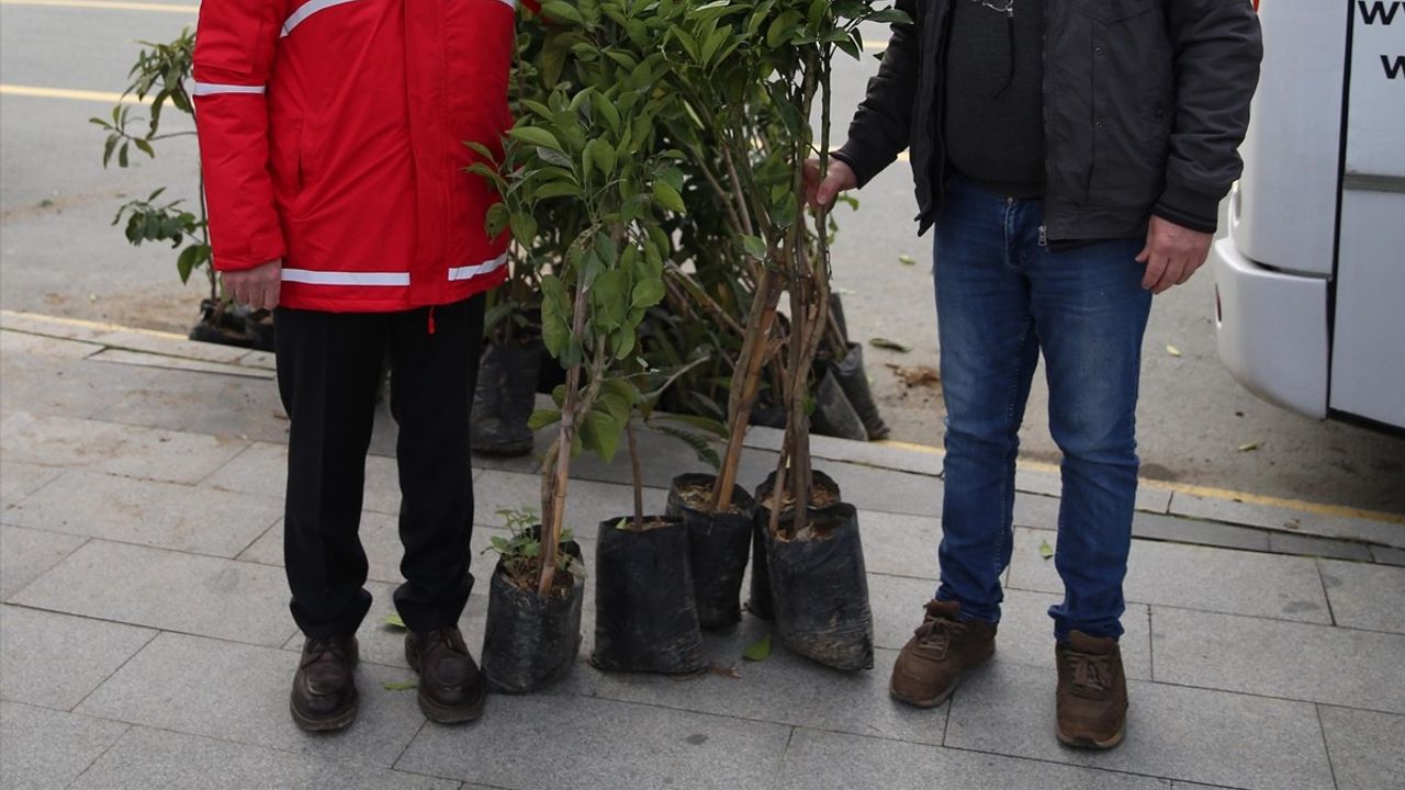 Rize'de Kan Bağışçılarına 5 Meyve Fidanı Hediye Edildi