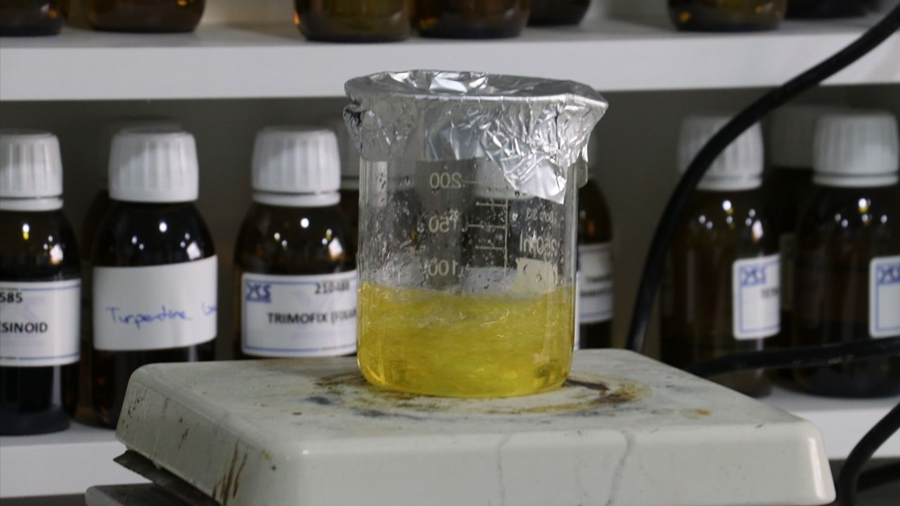 Sakarya'da Üretilen Oto Bakım ve Temizlik Ürünleri, 84 Ülkeye İhraç Ediliyor