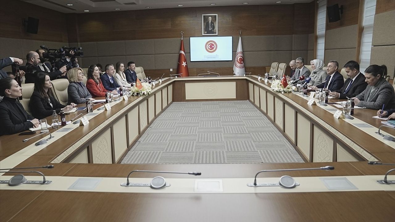 TBMM Dışişleri Komisyonu Başkanı Oktay, Karadağ-Türkiye Dostluk Grubu ile Görüştü