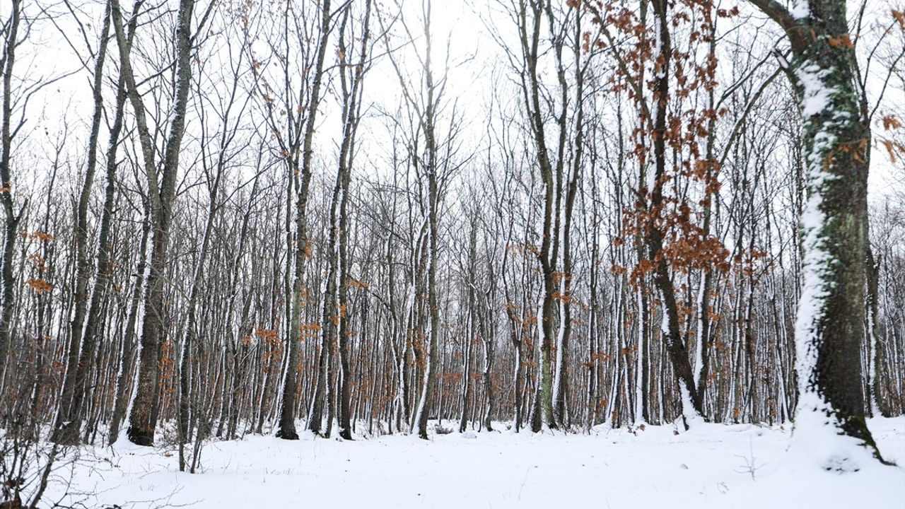 Tekirdağ'ın İkiz Göllerinde Kar Yağışı Görsel Şöleni