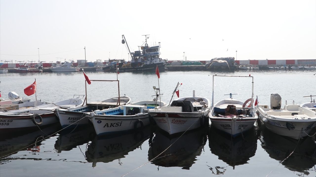 Tekirdağlı Balıkçılar İstavrit ve Hamsi Umuduyla Denize Açıldı