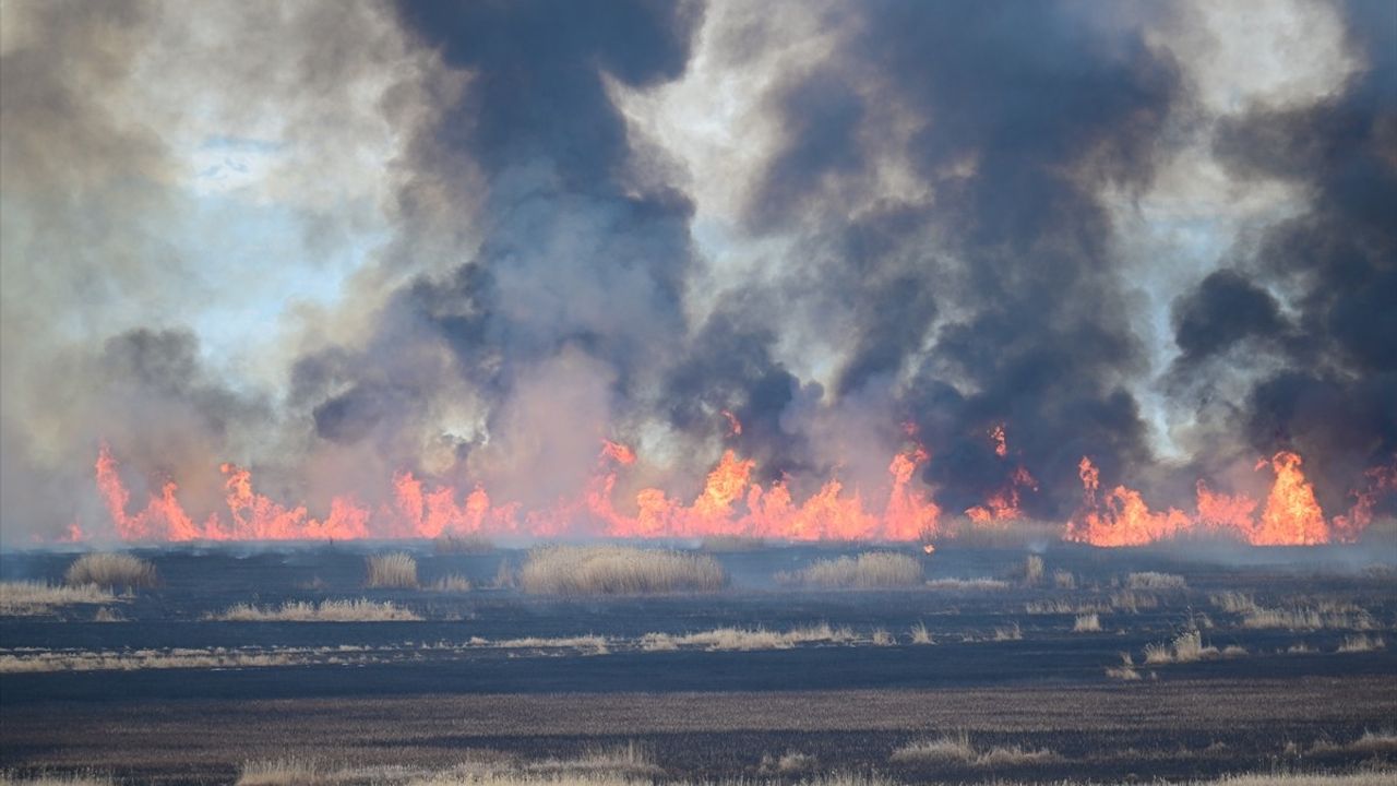 Van'da Dilkaya Sazlığı'nda Yangın: Kuş Cenneti Tehlikede