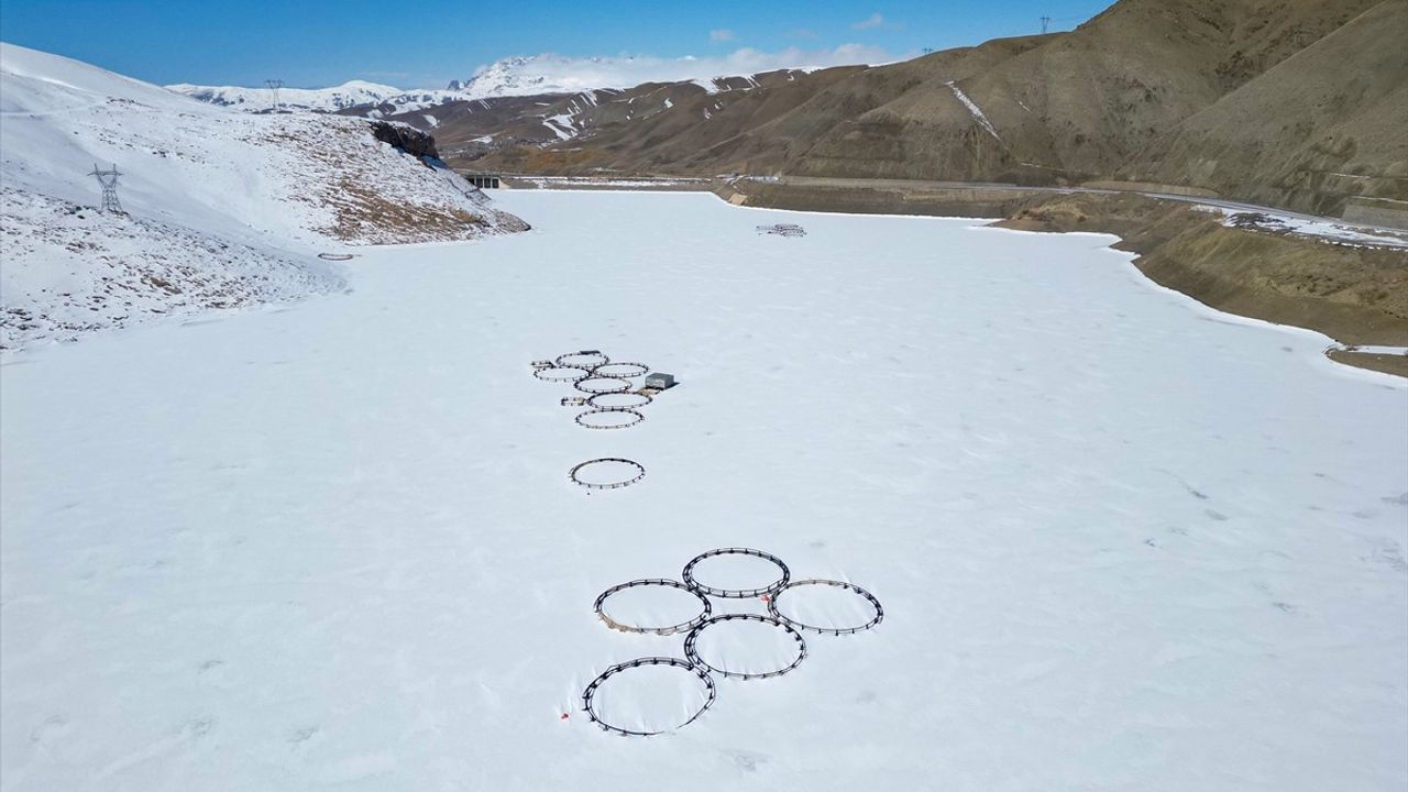 Van'daki Zernek Barajı Dondurucu Soğuklarla Buz Kesti
