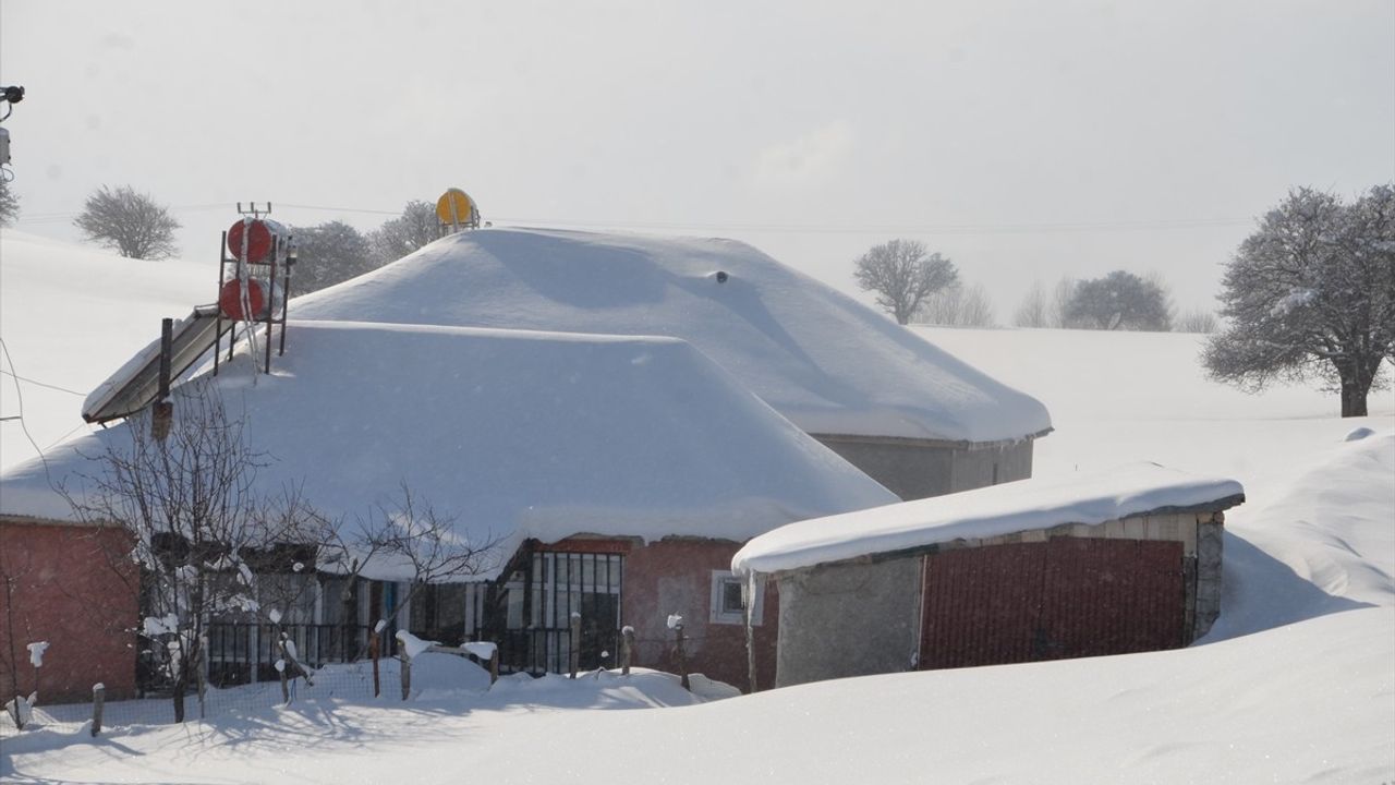 Van, Muş ve Bitlis'te Kar Nedeniyle 114 Yerleşim Yeri Ulaşıma Kapandı