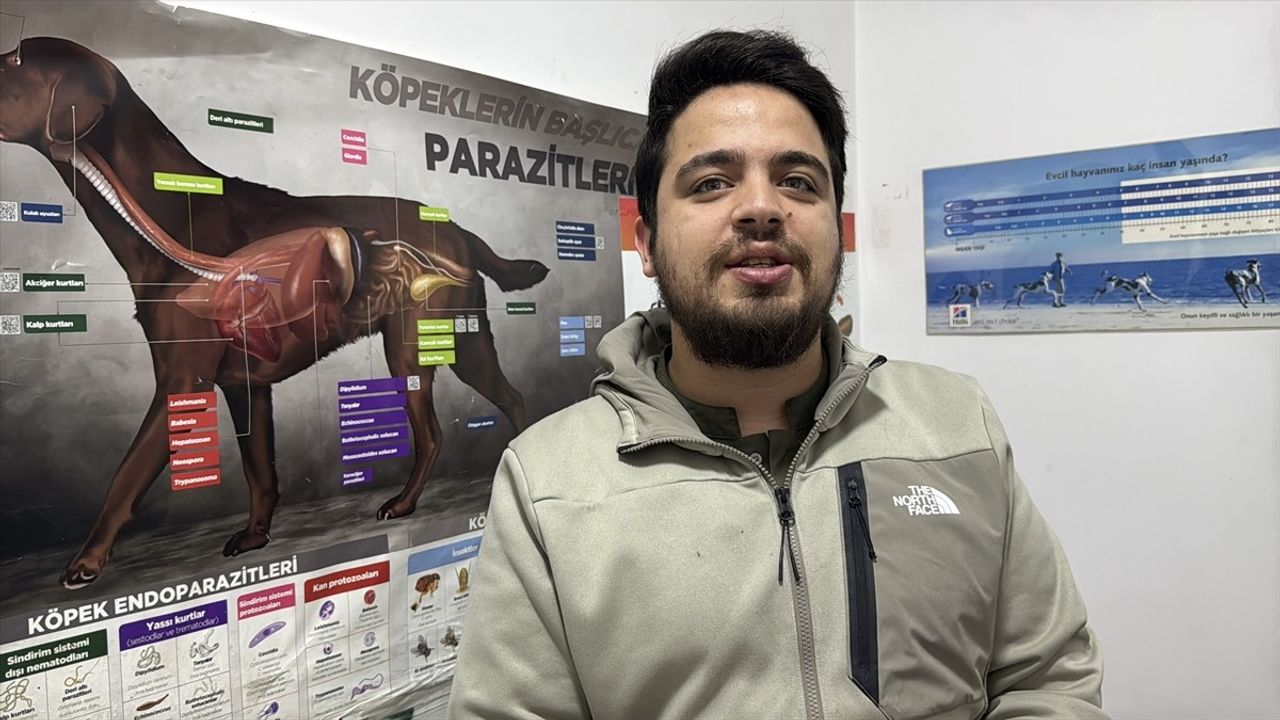 Zonguldak'ta Çakalın Yerleşim Alanına İnişi Güvenlik Kamerasında Görüntülendi