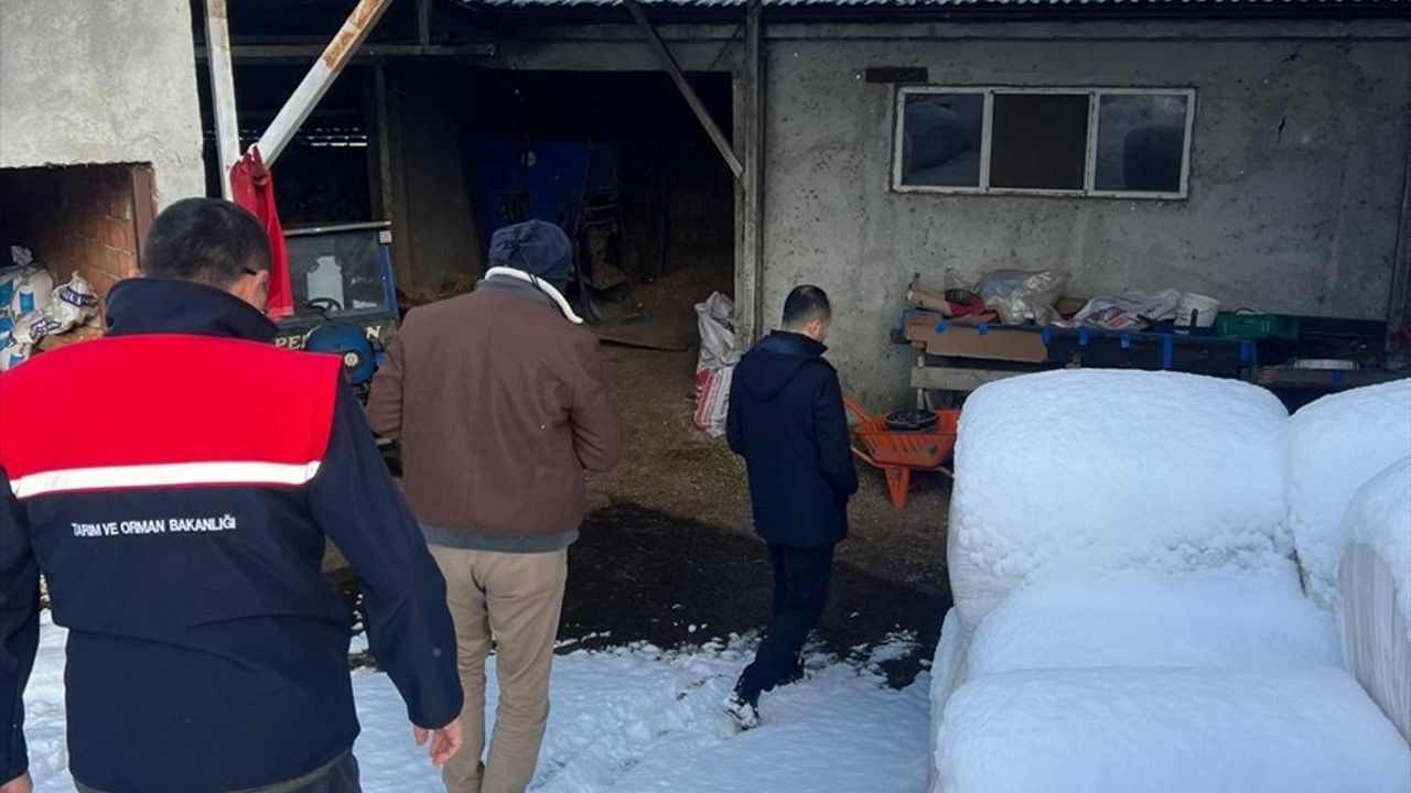 Zonguldak'ta Şap Hastalığı Şüphesi Nedeniyle Karantina Uygulandı
