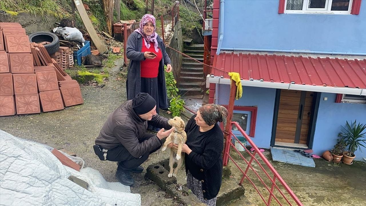 Zonguldak'ta Terk Edilen Köpek Yavrusu Yeni Bir Yuvaya Kavuştu