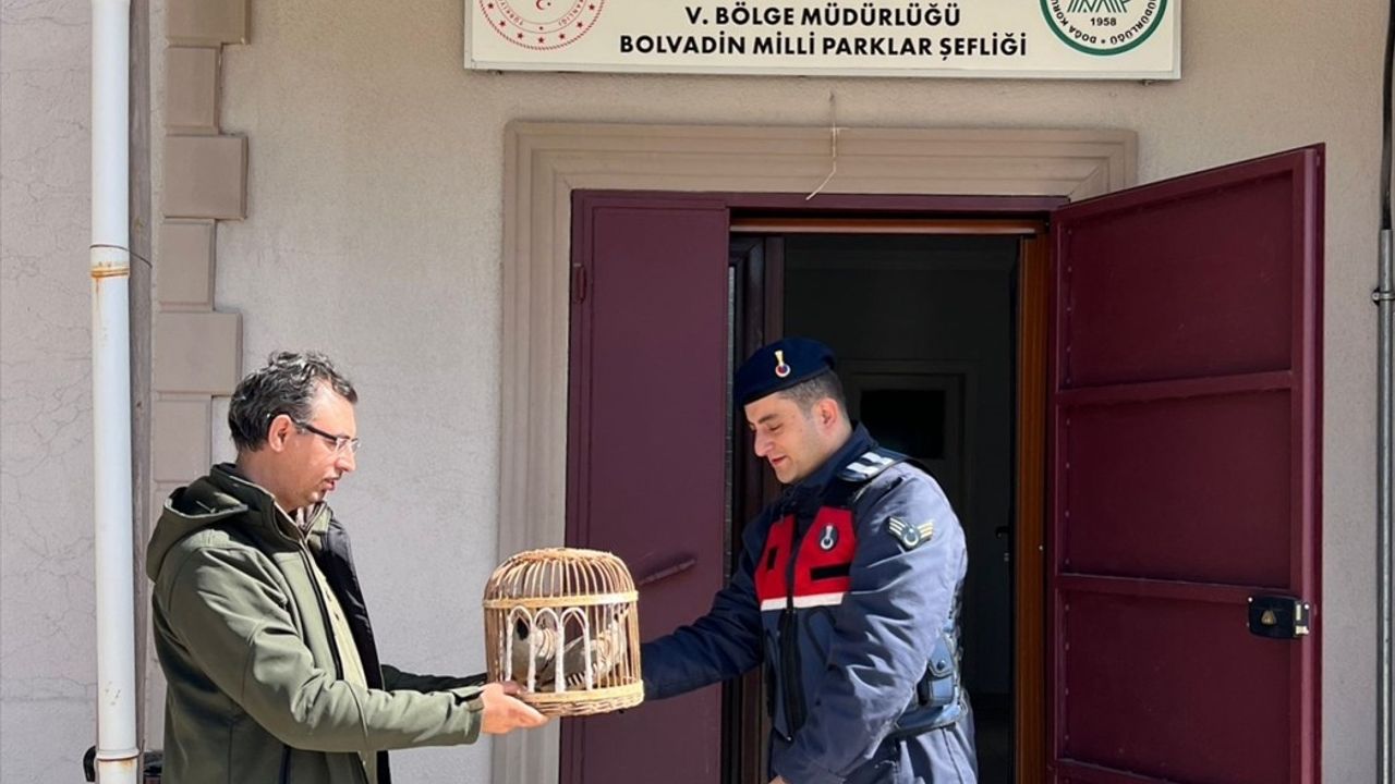 Afyonkarahisar'da Keklik Avcılarına Cezalar Uygulandı