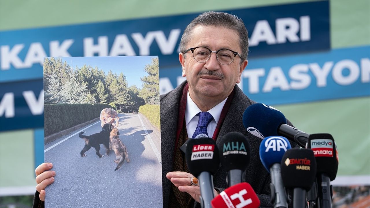 Altındağ Belediyesi Sokak Hayvanları Yaşam ve Rehabilitasyon Merkezi Kuracak