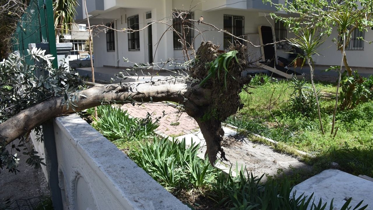 Antalya'da Kuvvetli Rüzgar Hayatı Olumsuz Etkiledi