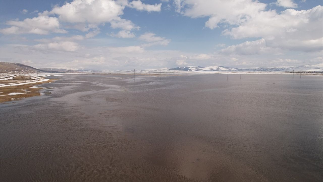 Ardahan'da Kura Nehri Kar Erimesiyle Taştı