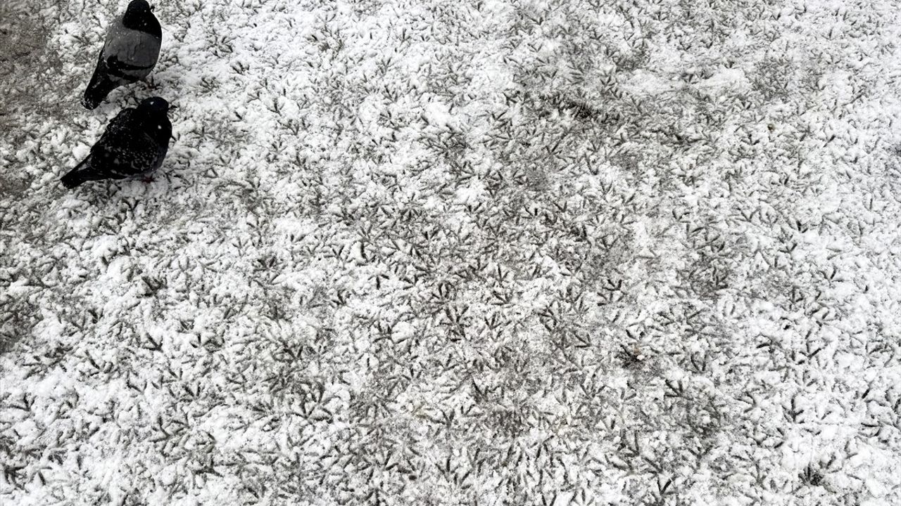 Ardahan-Şavşat Kara Yolu Kar Sebebiyle Tır Trafiğine Kapandı