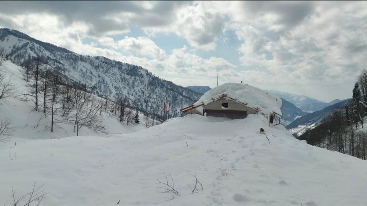 Artvin'de Çığ Felaketi: İş Makineleri ve Bakımevinde Hasar Oluştu