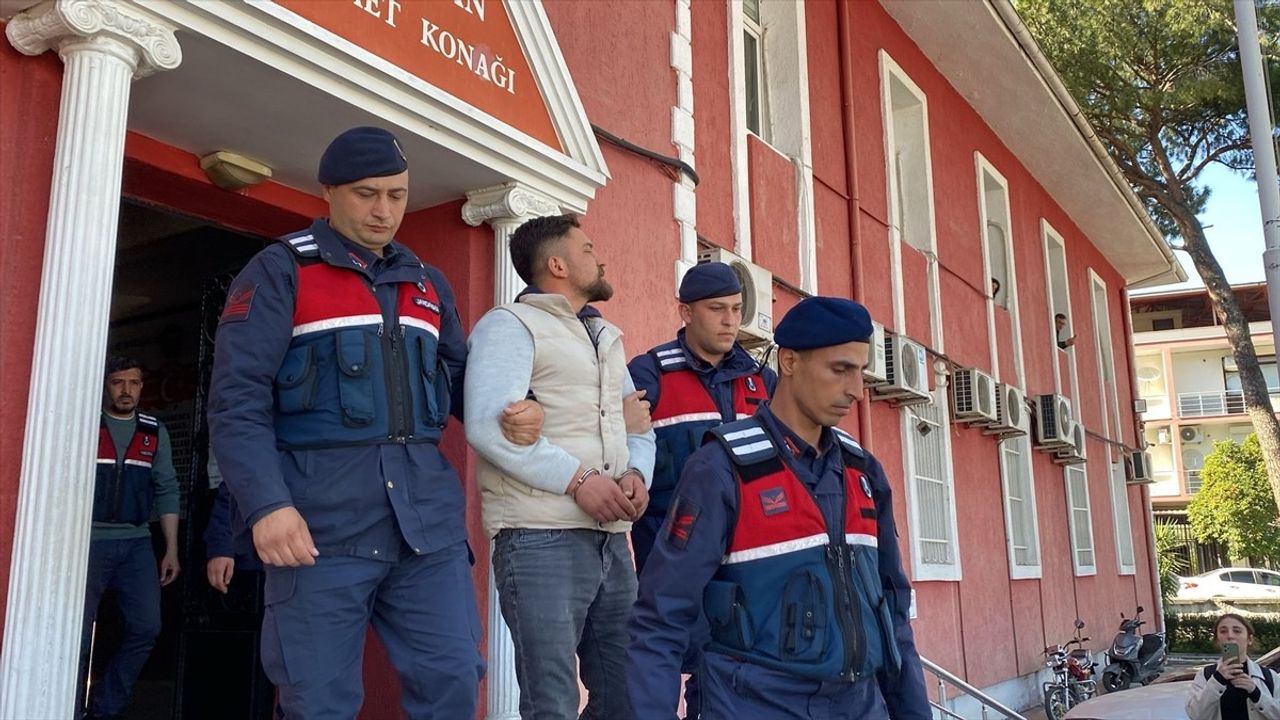 Aydın'da Deve Güreşleri Sırasında Polis Memuru Yaralandı: Gözaltı Kararı Çıktı