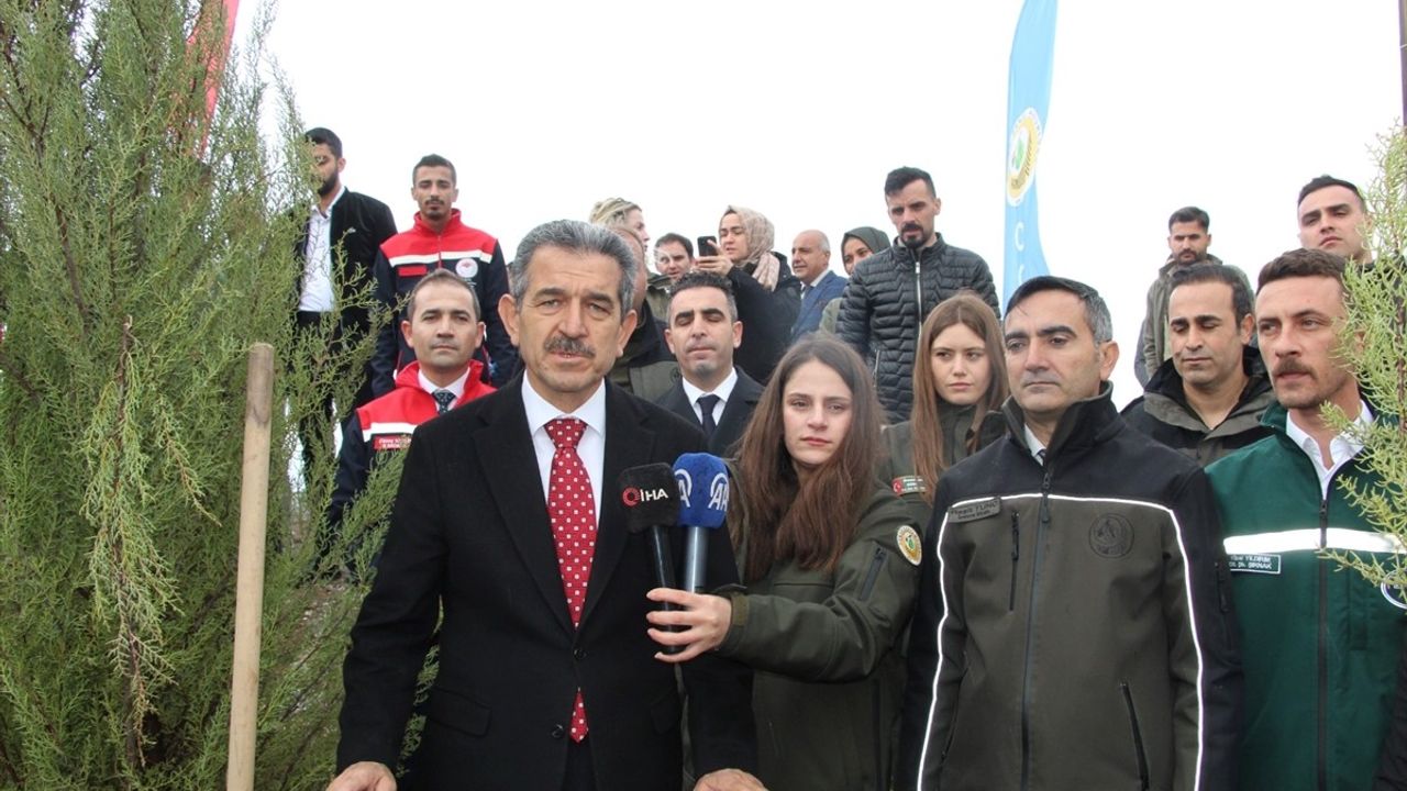 Batman ve Şırnak'ta Fidan Dikim Etkinliği Gerçekleşti