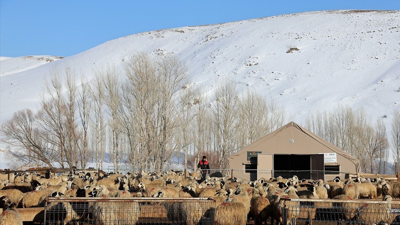 Bayburt'ta Besicilerin Kış Mücadelesi Devam Ediyor