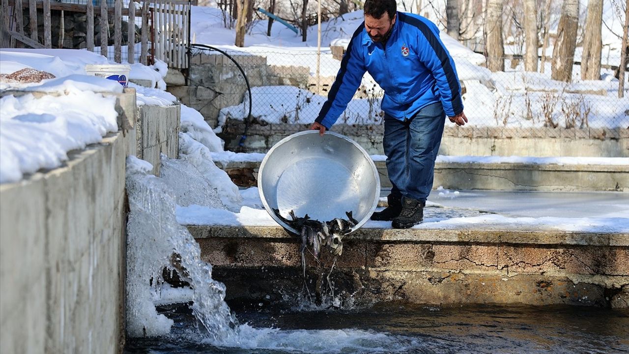 Bayburt'un Yoncalı Köyünde Alabalık Üretiminin Zorlukları