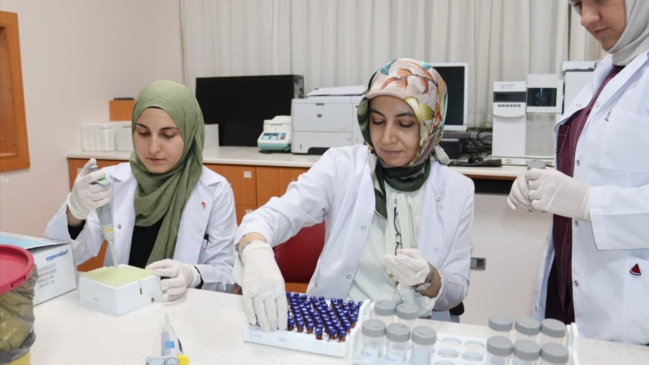 Beslenme Alışkanlıkları Bağırsak Sağlığını ve Uyku Düzenini Nasıl Etkiliyor?