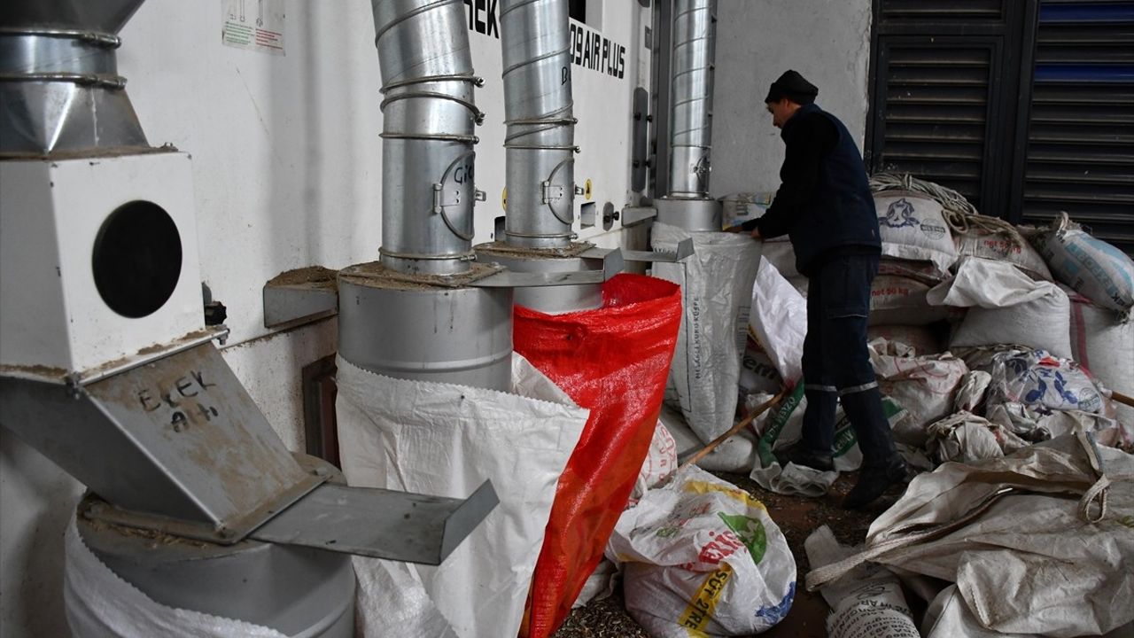 Bilecik'te Devlet Desteği ile Ay Çekirdeği Eleme Tesisi Kuruldu