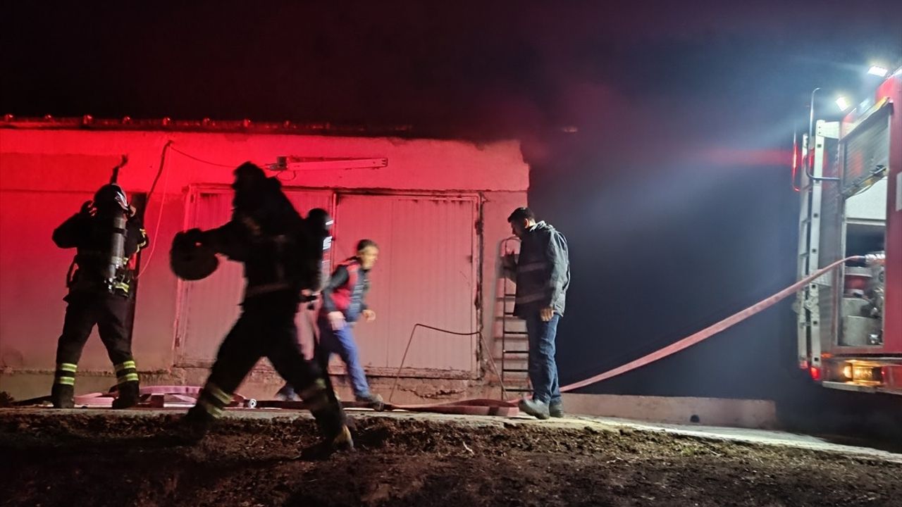 Bilecik'te Tavuk Çiftliği Yangını Kontrol Altına Alındı