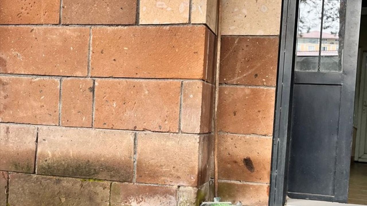 Bitlis'te Yasa Dışı Keklik Avlayan Kişiye 64 Bin 855 Lira Ceza
