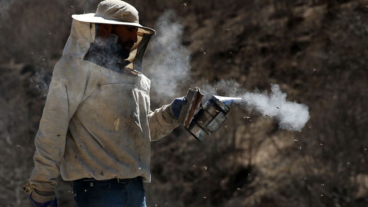 Bitlisli Arıcılar, Yaylalara Çıkma Hazırlığında