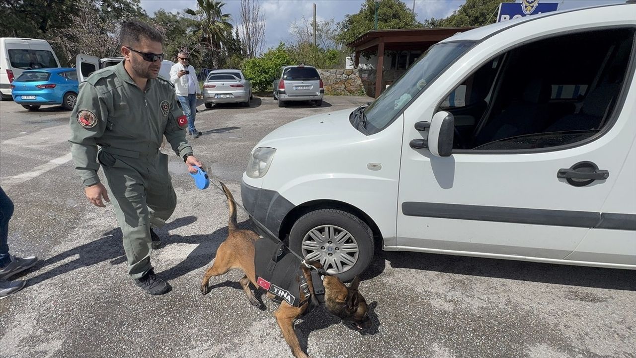 Bodrum'da Bayram Trafiği İçin Güvenlik Önlemleri Artırıldı