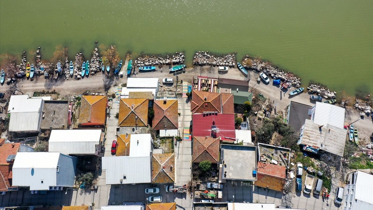 Bursa'da Leylekler İçin Uluabat Gölü Çevresinde Yeni Yuvalar Kuruldu