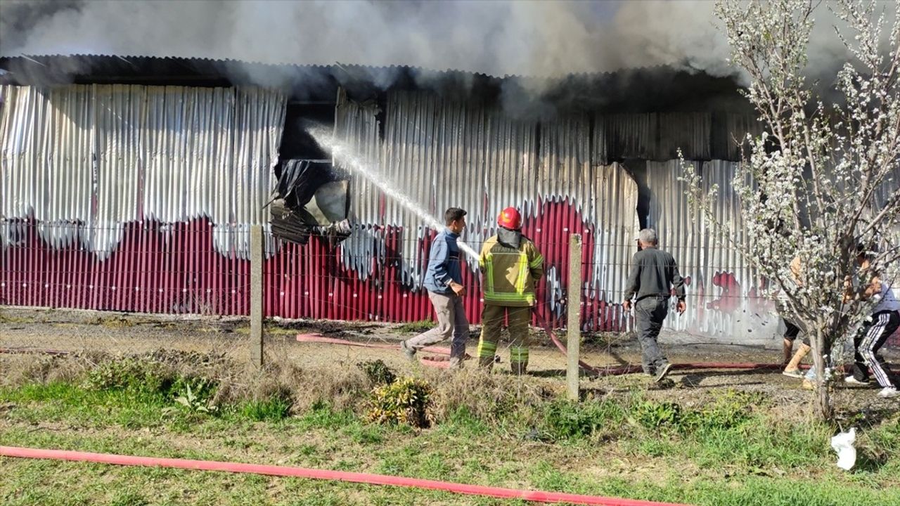 Bursa'nın Orhangazi İlçesinde Gül Serasında Yangın Kontrol Altına Alındı