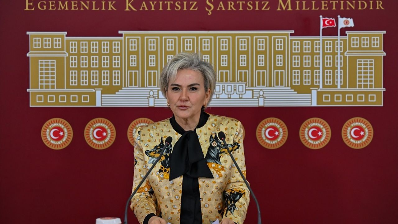 CHP'li Nimet Özdemir'den Hayvanlara Yönelik Şiddetin Önlenmesine Kanun Teklifi