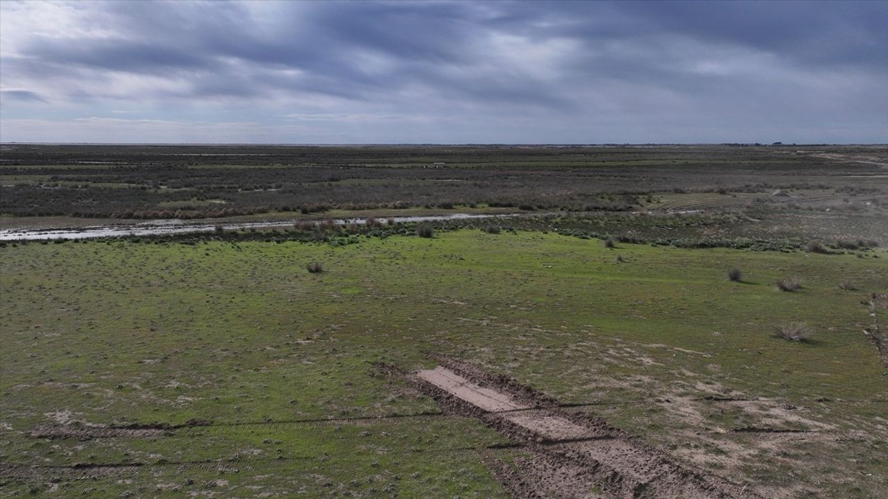 Çukurova'da Yüksek Teknolojili Sera Tarımı Projesiyle Üretim Artışı Bekleniyor