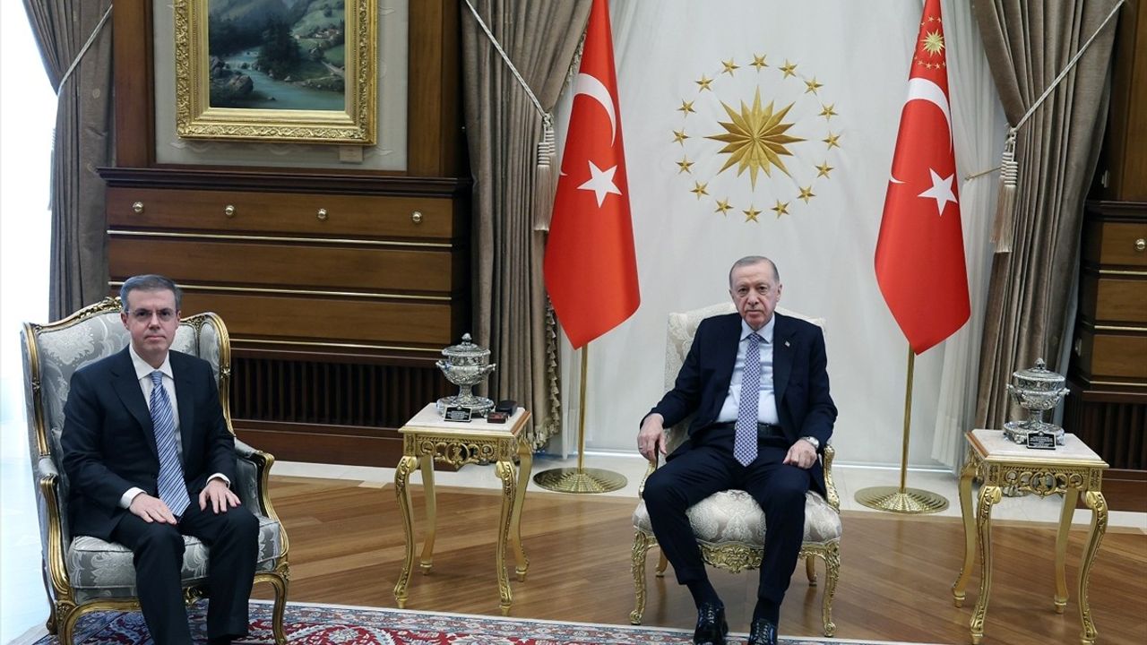 Cumhurbaşkanı Erdoğan, İhlas Holding Yönetim Kurulu Başkanı Ahmet Mücahid Ören'i Kabul Etti