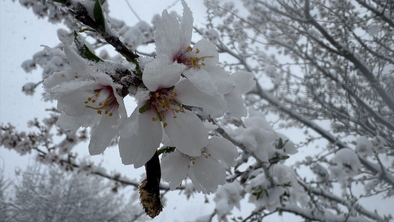 Denizli-Antalya Kara Yolunda Ulaşım Kar Nedeniyle Kapandı