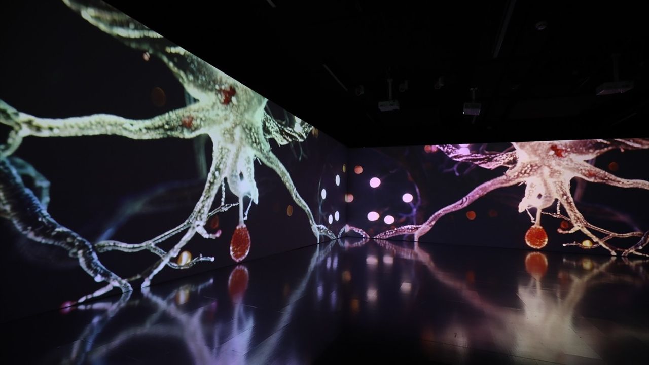 FLUX Enstalasyonu ile Obeziteye Dikkat Çekiliyor