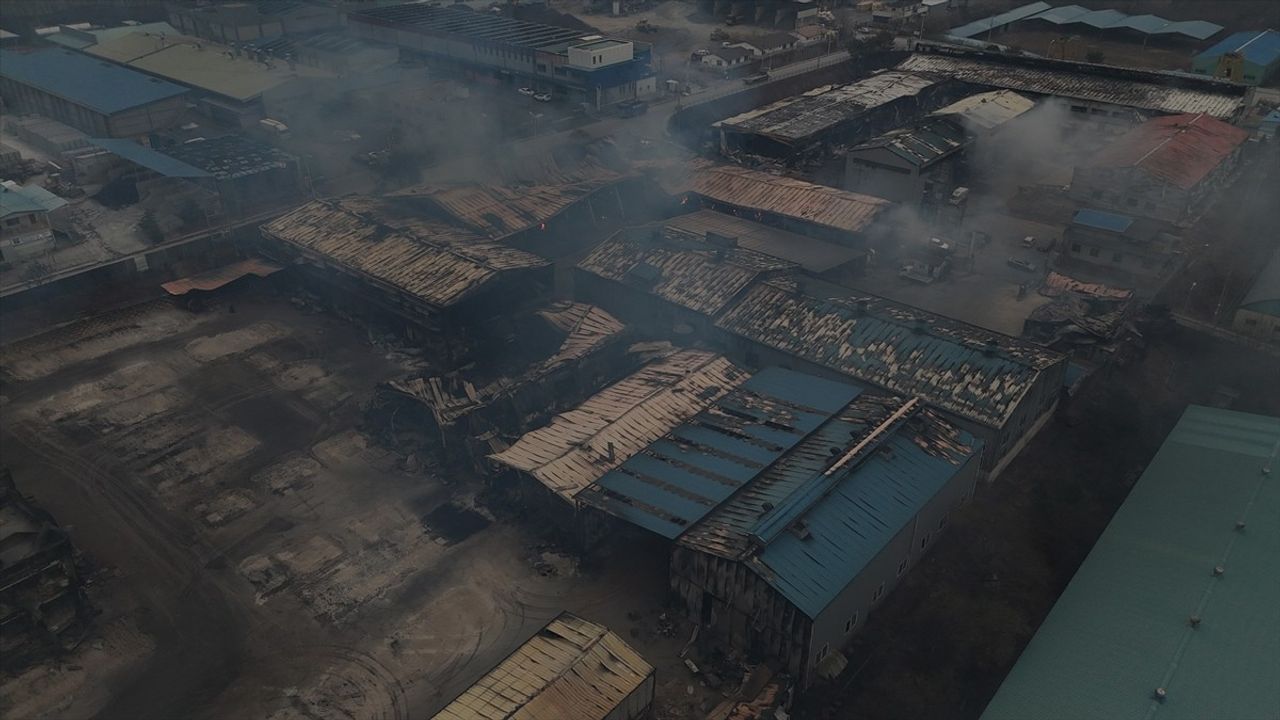 Güney Kore'deki Orman Yangınları: Ölü Sayısı 27'ye Yükseldi