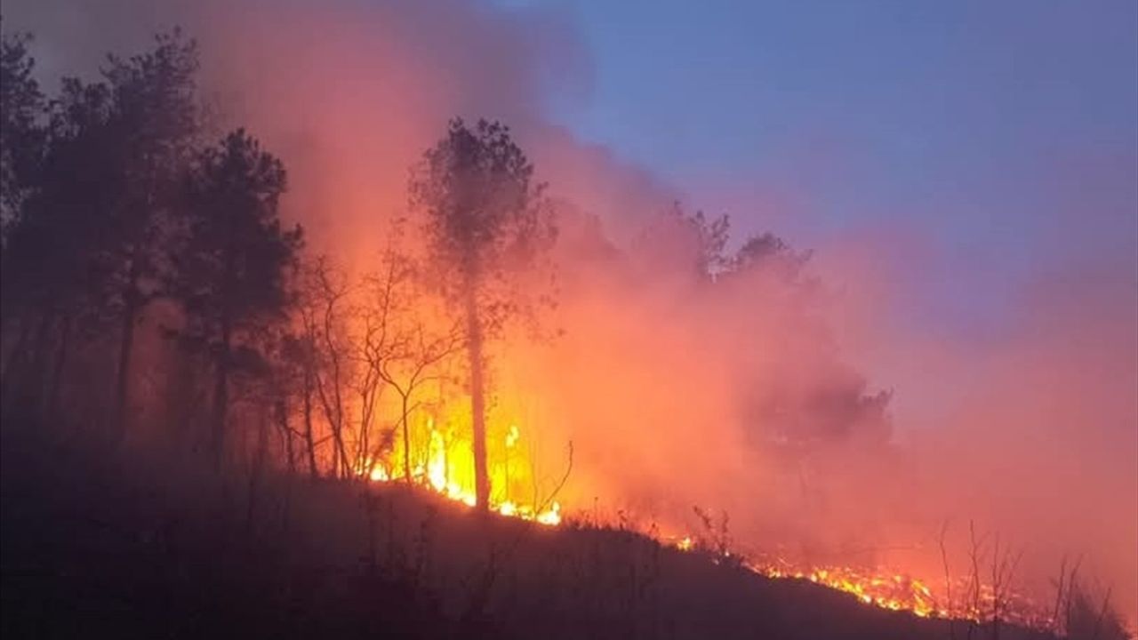 Hatay'ın Dörtyol İlçesindeki Orman Yangını Kontrol Altına Alındı