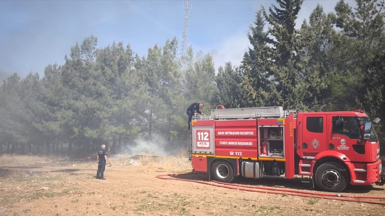 Hatay İskenderun'daki Orman Yangını Kontrol Altına Alındı