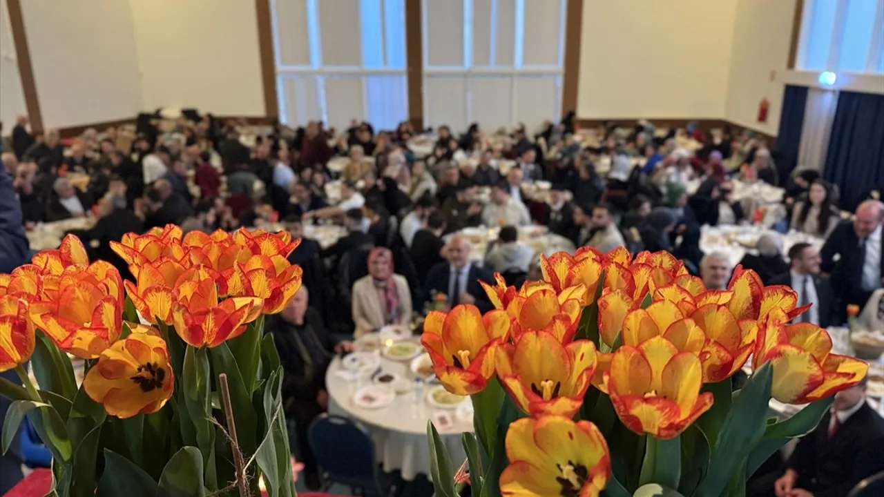 Hollanda'da Yeni Laleye 'Gelibolu' Adı Verildi