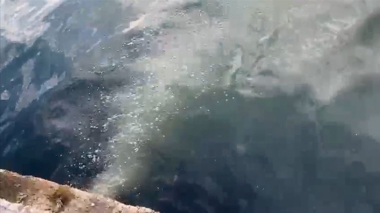 İSKİ'ye Marmara Denizi'ne Atık Su Deşarjı Nedeniyle 2,6 Milyon Lira Ceza