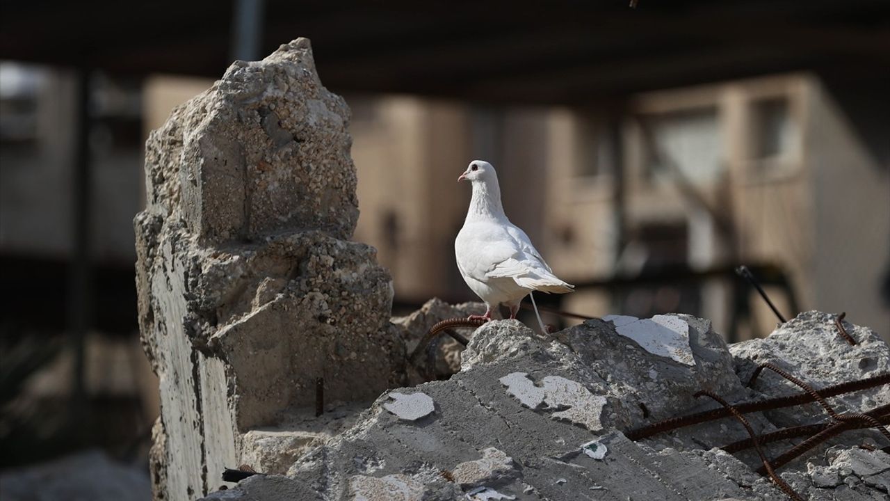 İsrail Ordusu, Nur Şems Mülteci Kampı'nda 17 Evin Yıkımını Planlıyor